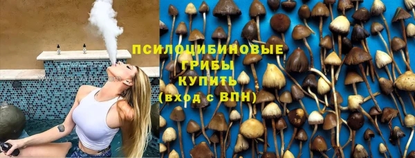 прущие крисы Надым
