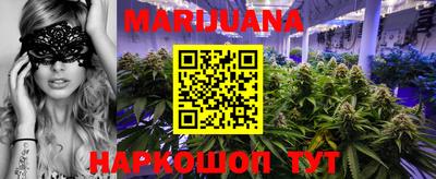 индика Бийск