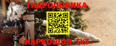 индика Бийск