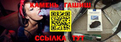 индика Бийск
