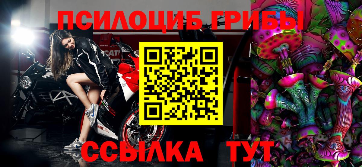 как найти наркотики  Касимов  Псилоцибиновые грибы ЛСД 